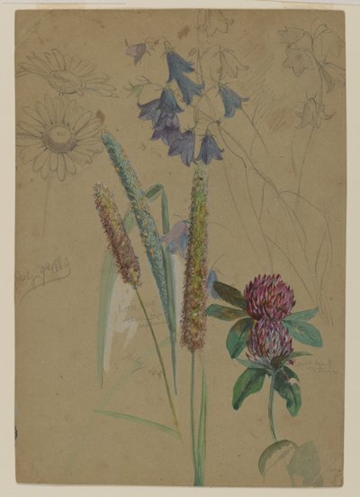 Flower study, 1860 by William Trost Richards